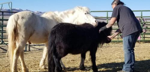 07:39:25 GMT-0800 (PST).image