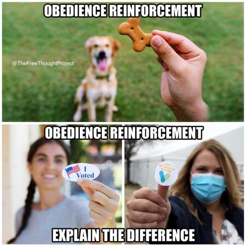 159862336_2503817386592127_8681367973533805207_o