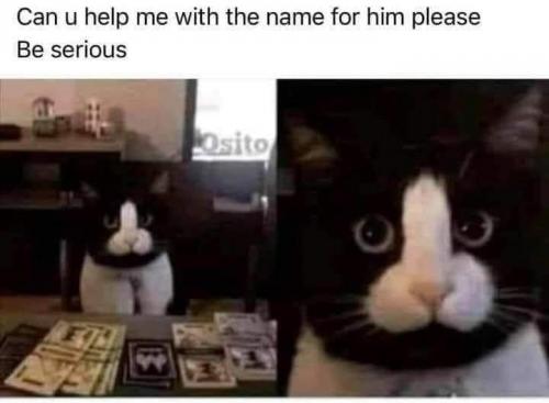 07:44:50 GMT-0500 (CDT)