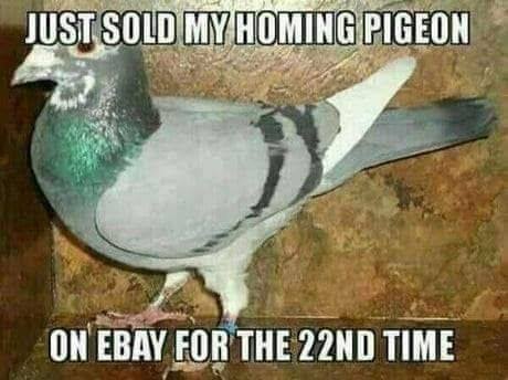 SOLD