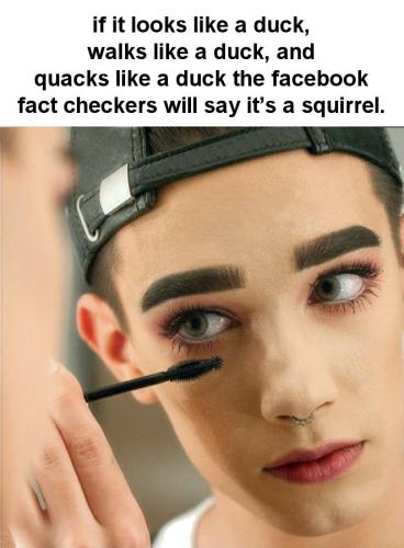 factcheck39