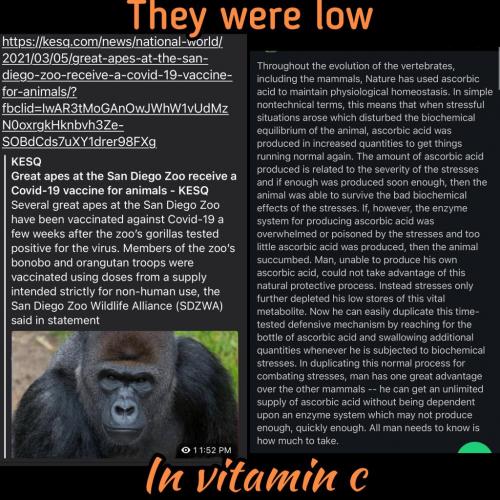 14:51:35 GMT-0600 (CST).image