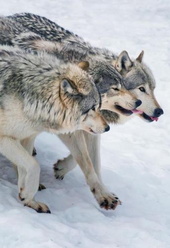 3a0c5887c7a3fff1f2d5bb378e6bb03b