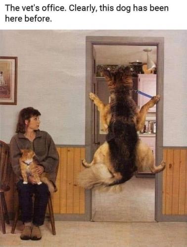 21:02:37 GMT-0700 (PDT).image