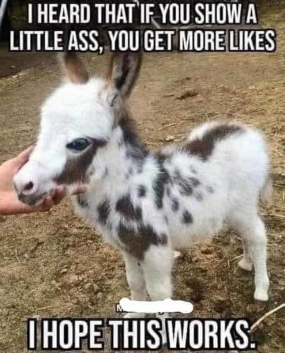 21:00:01 GMT-0800 (PST)