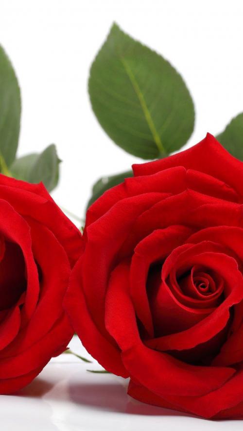 11:58:28 GMT+0100 (WAT)