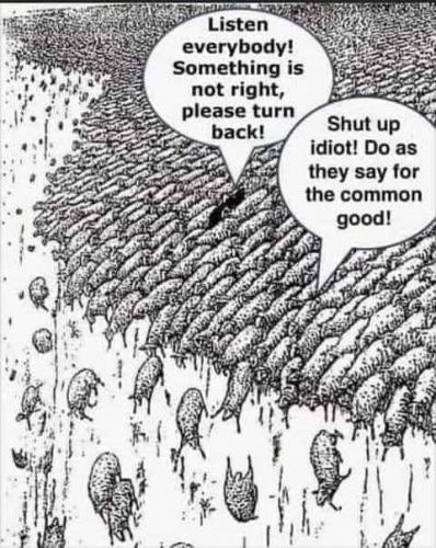 sheeple2