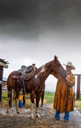 2b77011f2b5a02fc498cc8e7a0563d9a