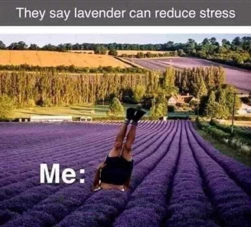 12:19:46 GMT-0500 (EST)