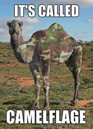 14:14:27 GMT-0700 (PDT)