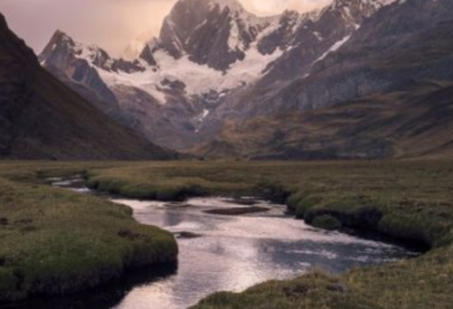 Screenshot 2021-03-02 at 7.04.43 AM