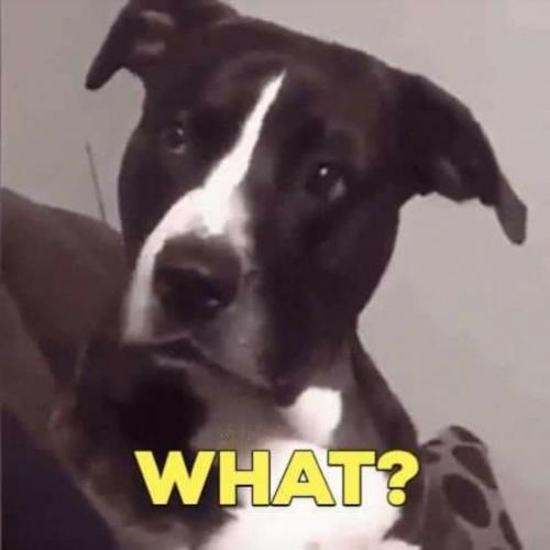 20:33:05 GMT-0600 (CST)