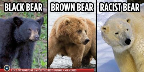 11:11:12 GMT-0600 (CST)