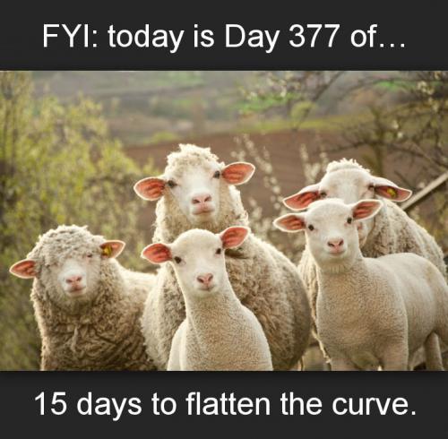 flatten the curve05