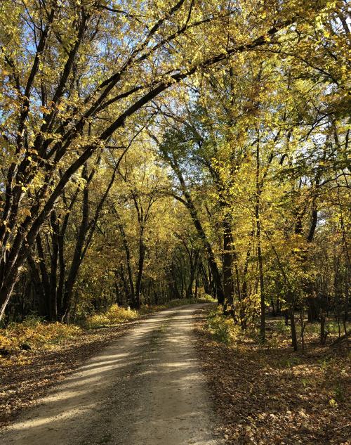 10:32:39 GMT-0600 (CST).image