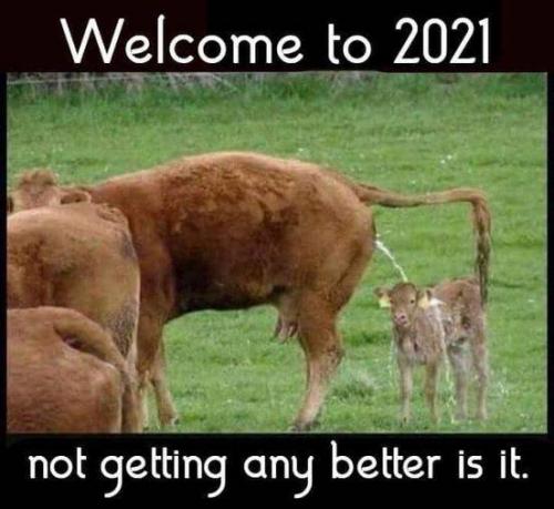 17:43:45 GMT-0500 (EST).image