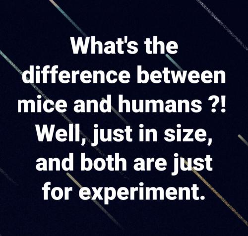 01:49:31 GMT-0500 (CDT)