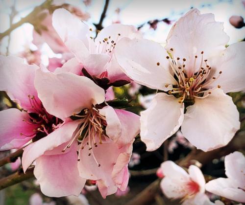 17:53:07 GMT-0800 (PST)