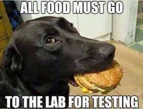 17:36:43 GMT-0500 (EST)