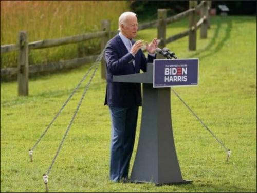 biden449