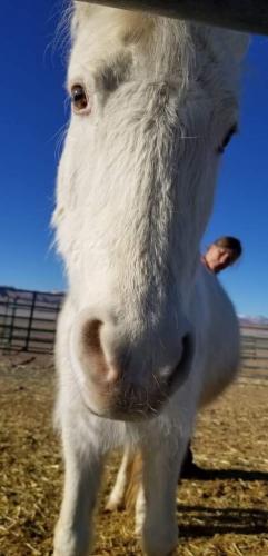 07:39:25 GMT-0800 (PST).image