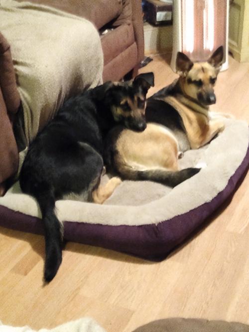 IMG_20210217_205953724