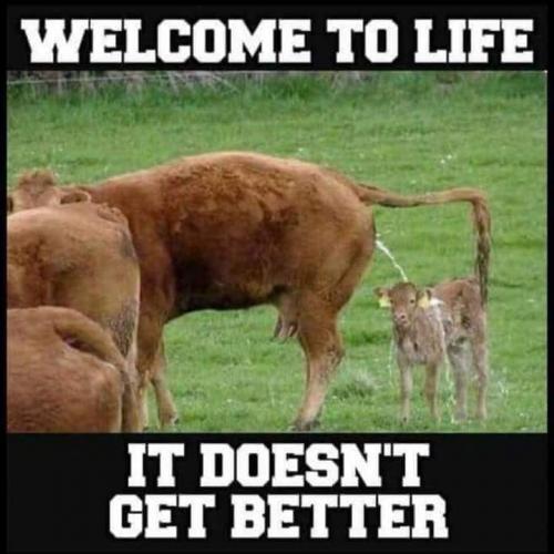 161427945_4190154097684022_4795225866518797079_n