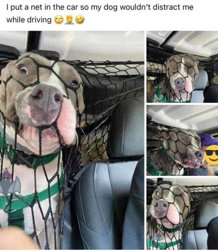 20:38:58 GMT-0700 (PDT)