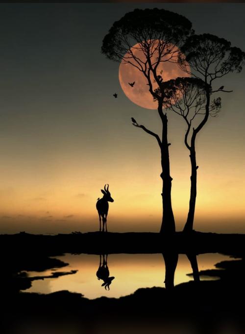 C55C1D7D-A94F-4259-A8F0-9FDD875F6897