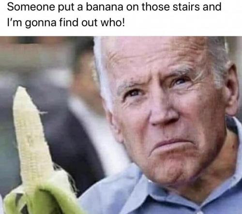 577DE291-2D5B-4863-8A97-ED757910DE3C