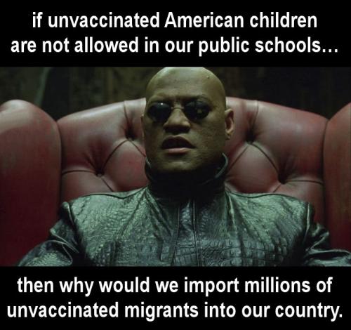 illegal immigration241