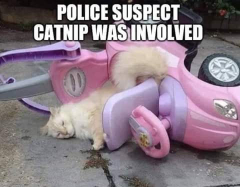 16:43:39 GMT-0700 (PDT)