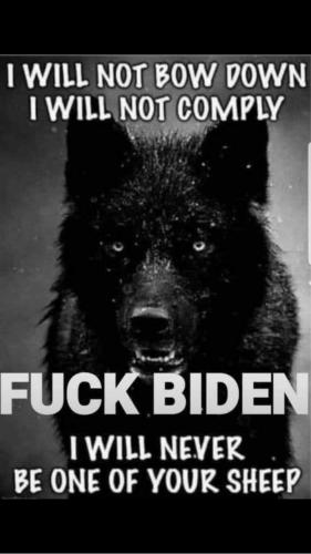 23:20:43 GMT-0800 (PST)