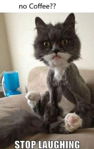 10:03:19 GMT-0800 (PST)