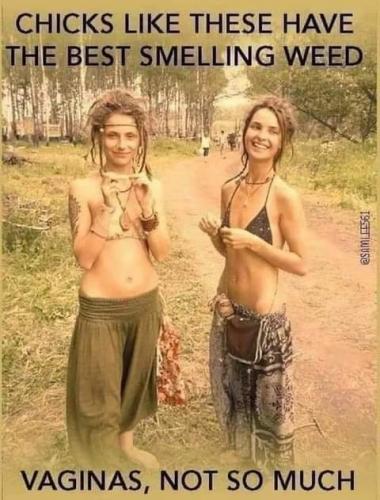 19:51:31 GMT-0800 (PST)