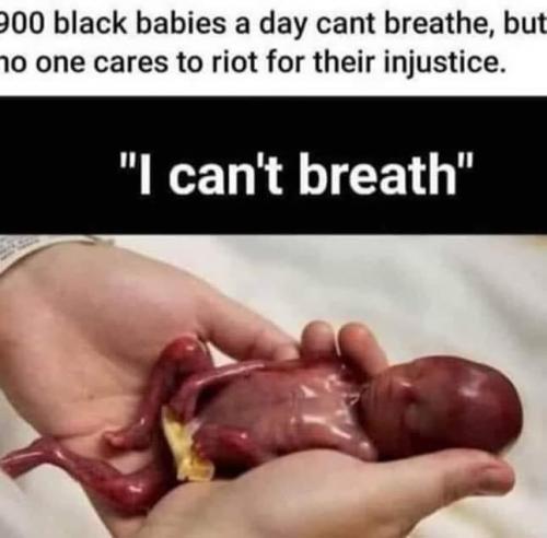 Tumblr_l_627815123621265