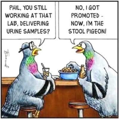 19:59:14 GMT-0500 (EST)