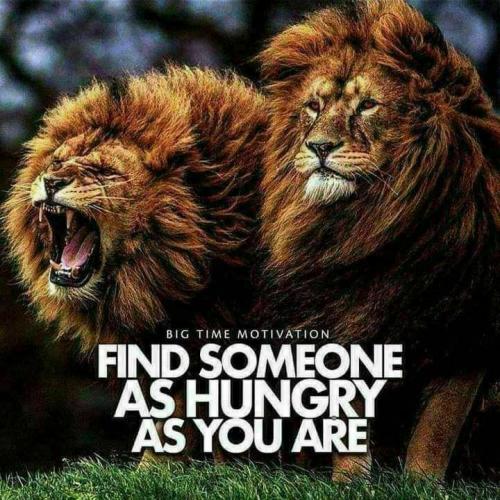 8631637B-6B5E-493B-BF1D-867808E3276B