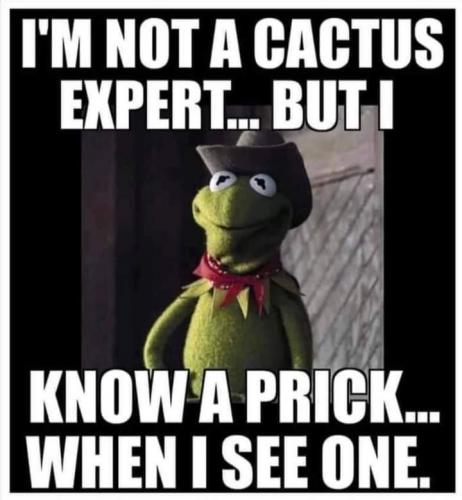 18:48:35 GMT-0500 (CDT).image