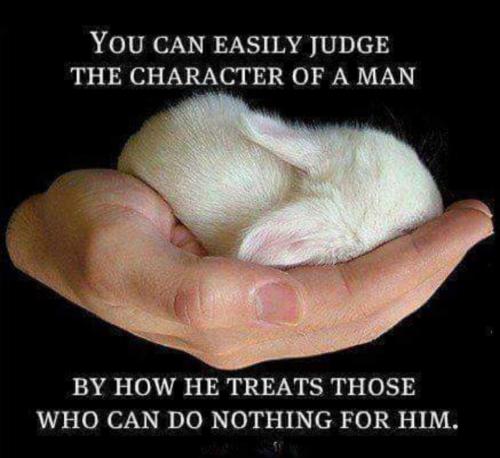 06:40:59 GMT-0600 (CST)