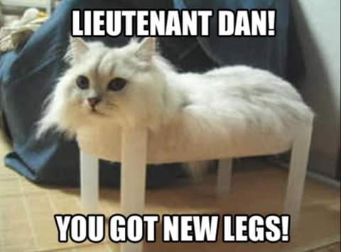 22:31:54 GMT-0800 (PST)