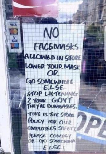 GxrO2Jk6EPvlQOQVqjFU_02_fd6864a04d8619ad37bd4e9a4241ea0f_image_original