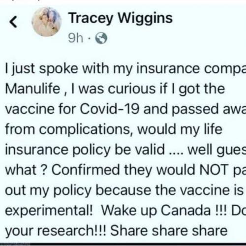 photo_2021-03-19_09-53-09