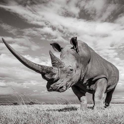 tumblr_436832e2fc1495ce1a1303d5343b211b_7daa5836_540