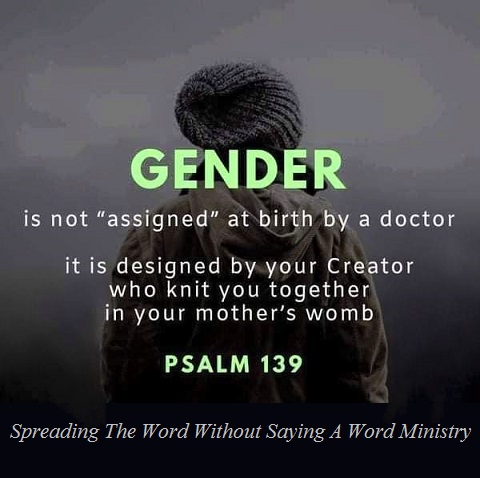 156432477_1078218236021232_1740899857803467811_n