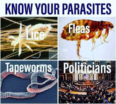 know your politicians00