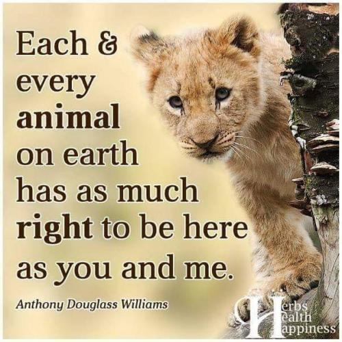 17:10:40 GMT-0600 (CST)