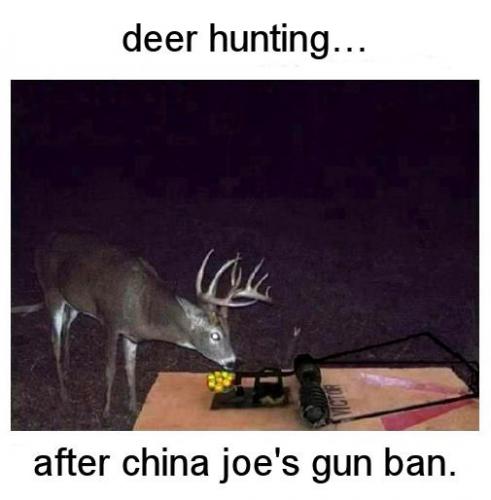gun control180