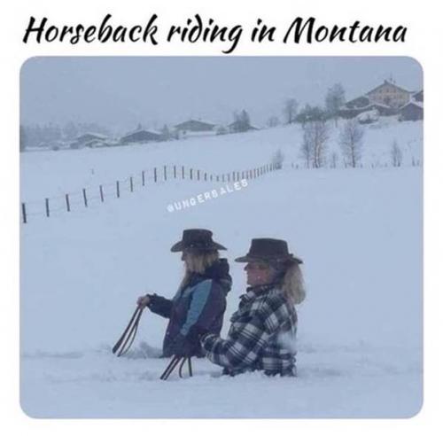 MONTANA