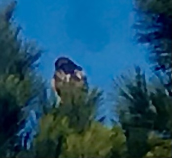 00:18:38 GMT-0700 (MST).image